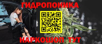 jwh Кинель