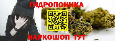амф Кимры