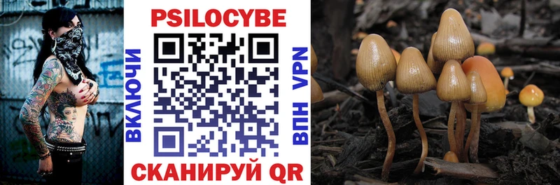 Псилоцибиновые грибы MAGIC MUSHROOMS  Кропоткин 