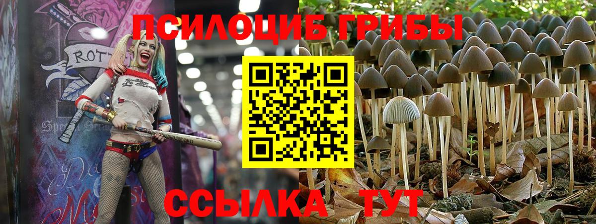 Псилоцибиновые грибы MAGIC MUSHROOMS Кропоткин