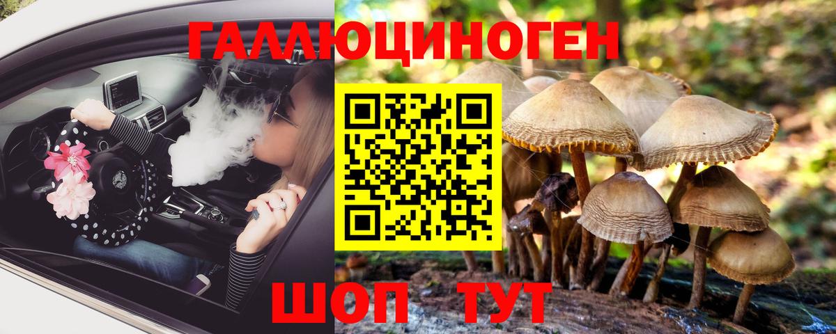 Кропоткин  Галлюциногенные грибы мухоморы  Вход с VPN 
