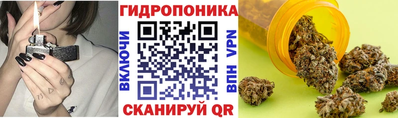 Шишки марихуана семена  наркота  Кропоткин 